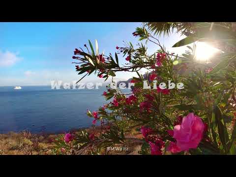 Slowwaltz 005 Walzer Der Liebe 