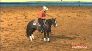STRESSOLENA - Jr. Working Cow Horse - AQHA World Show - Brandon Staebler