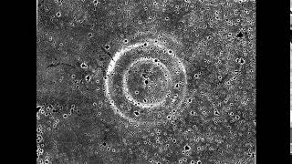 The Expanding Echoes of Supernova 1987A