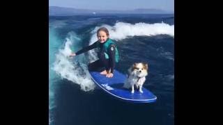 Little Girl Wake Surfs With Her Dog