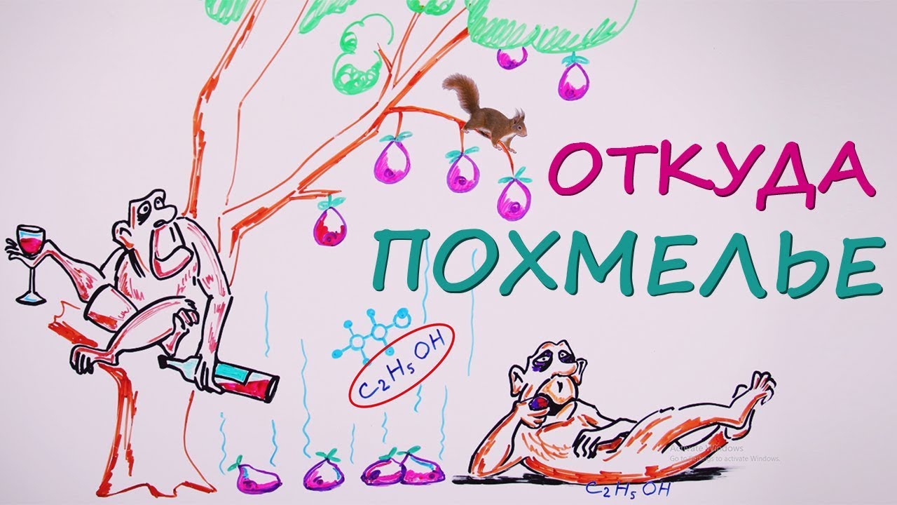 Почему от похмелья так плохо? — Научпок - YouTube