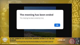 Ad Hoc Committee on Legislation Amending Section 25 of the Constitution, 31 March 2021
