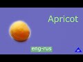 Apricot in English  and Russian. Абрикос на английском и русском.