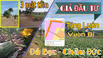LÔ ĐẤT  ĐẸP 3 MẶT TIỀN ĐƯỜNG 3.372m2 FULL HỒNG // ĐÁ BẠC - CHÂU ĐỨC BÀ RỊA VŨNG //TẶNG NGAY VƯỜN BÍ
