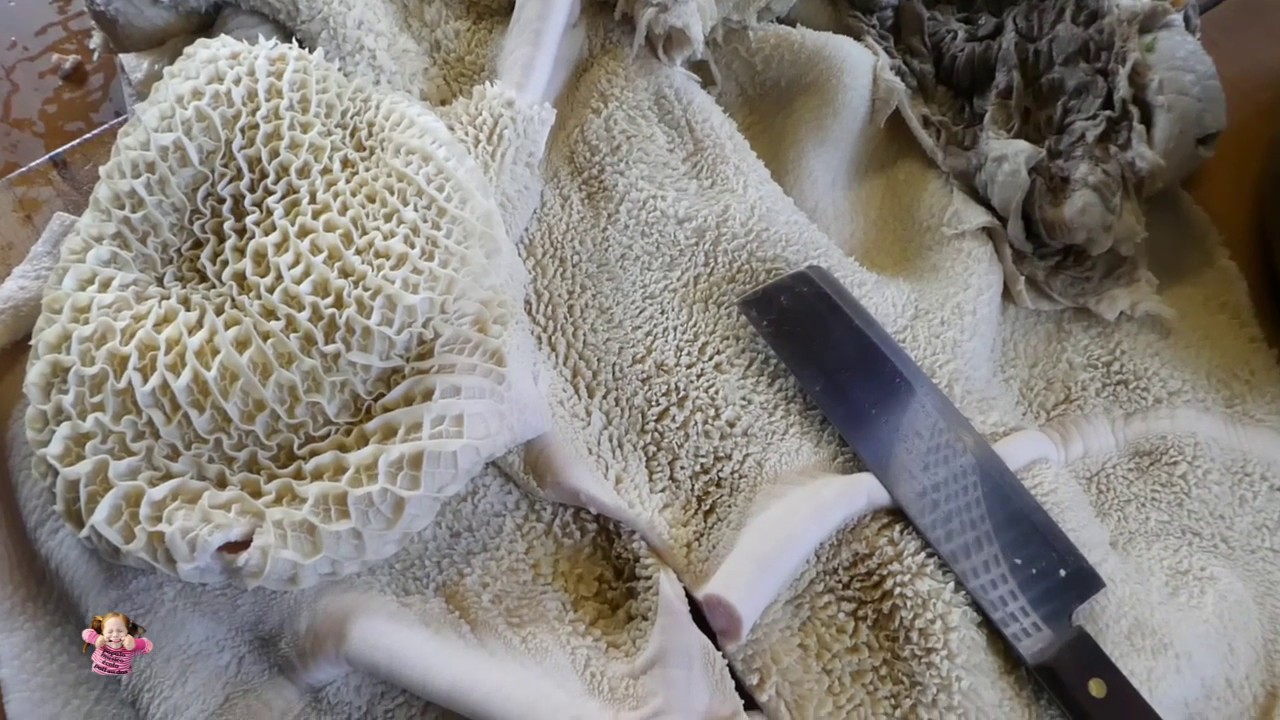 Tripes à la mode de Caen