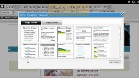 365ezone - Using Layout templates in RVsitebuilder 5