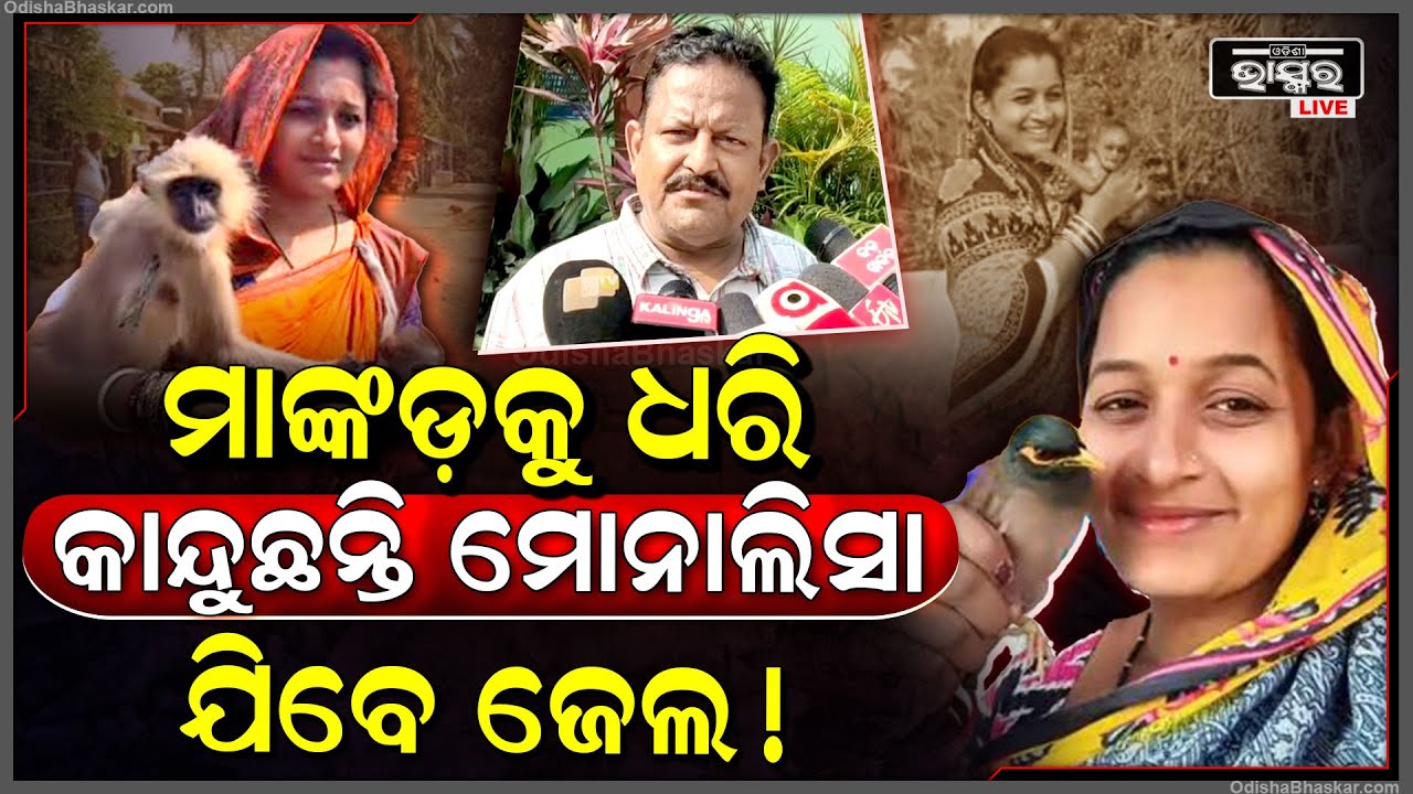ଫେମସ ମହିଳା ମୋନାଲିଶାଙ୍କୁ ବାନ୍ଧିଲା ପୋଲିସ, ପୋଲିସ ଆଗରେ କଲେ ଆତ୍ମସମର୍ପଣ, ହେଲେ ମୋନାଲିସାଙ୍କୁ ଛାଡୁନି ମାଙ୍କଡ ।