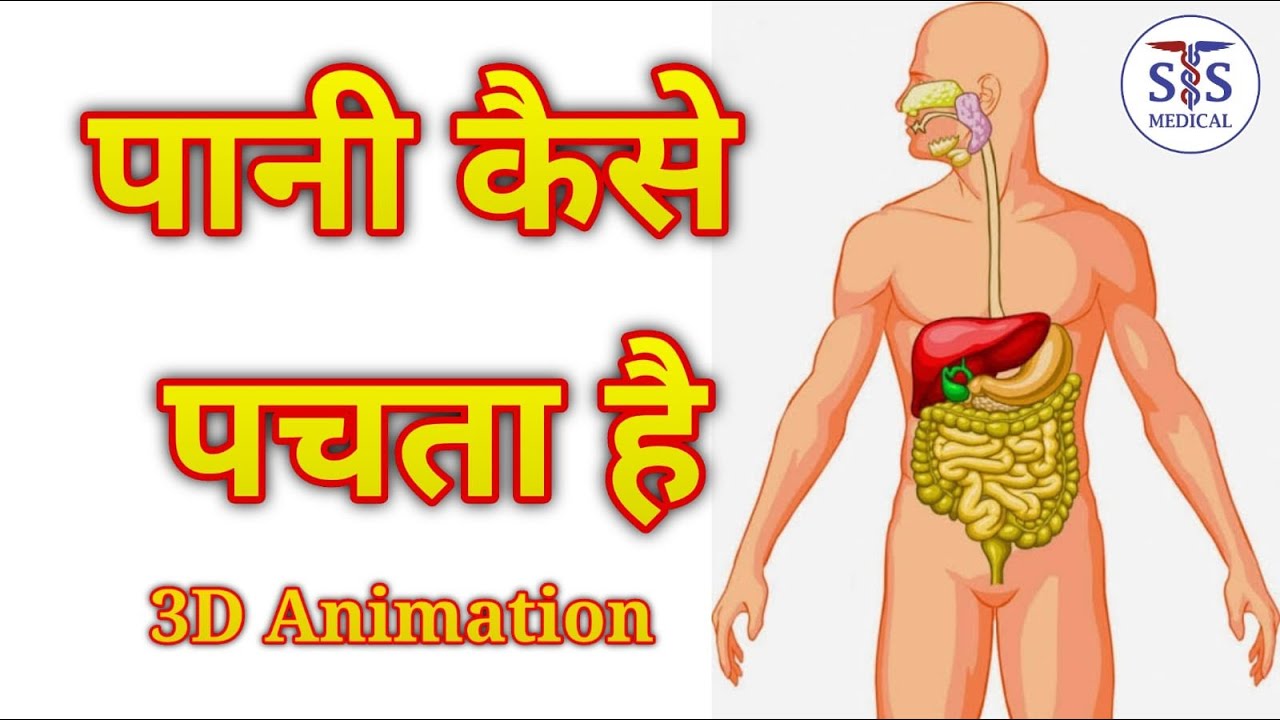 WATER ABSORPTION 3D ANIMATION