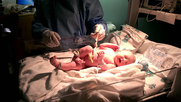 Madilyn Ann Mattson