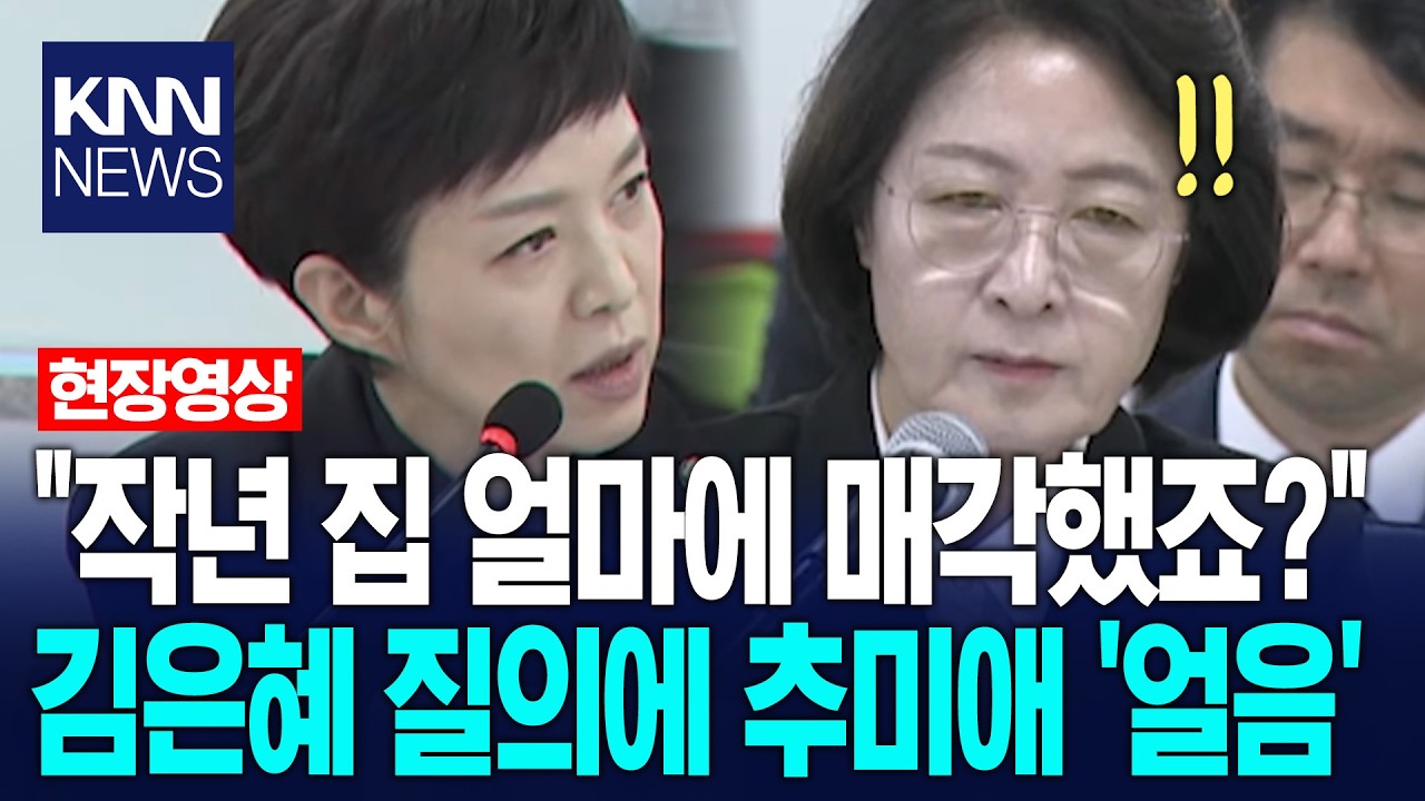 "작년 집 얼마에 매각했죠?" 김은혜 질의에 추미애 '얼음' / KNN 썸네일