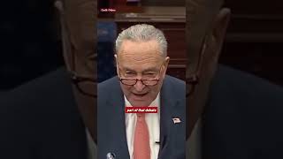 Chuck Schumer Criticizes Elon Musk Over DOGE: "Public Institutions Aren't a Tech Startup"