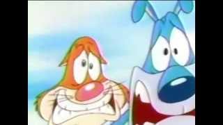 Youtube Poop Samuel L Jackson Kills Cat And Dog Person