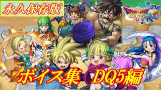 【ドラクエライバルズAce】特殊ボイス集　DQ5編