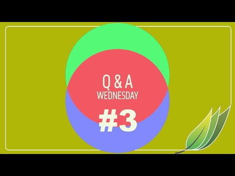Q & A Wednesday #3