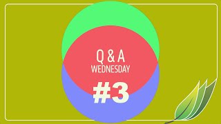 Q & A Wednesday #3