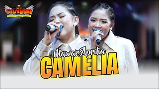 Download Lagu Camelia - Mawar Aprilia | new SIVANA | live WAGIR MALANG MP3 Download Lagu Camelia - Mawar Aprilia | new SIVANA | live WAGIR MALANG MP3