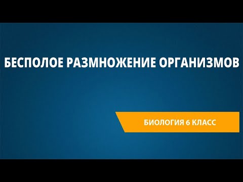 Бесполое размножение организмов