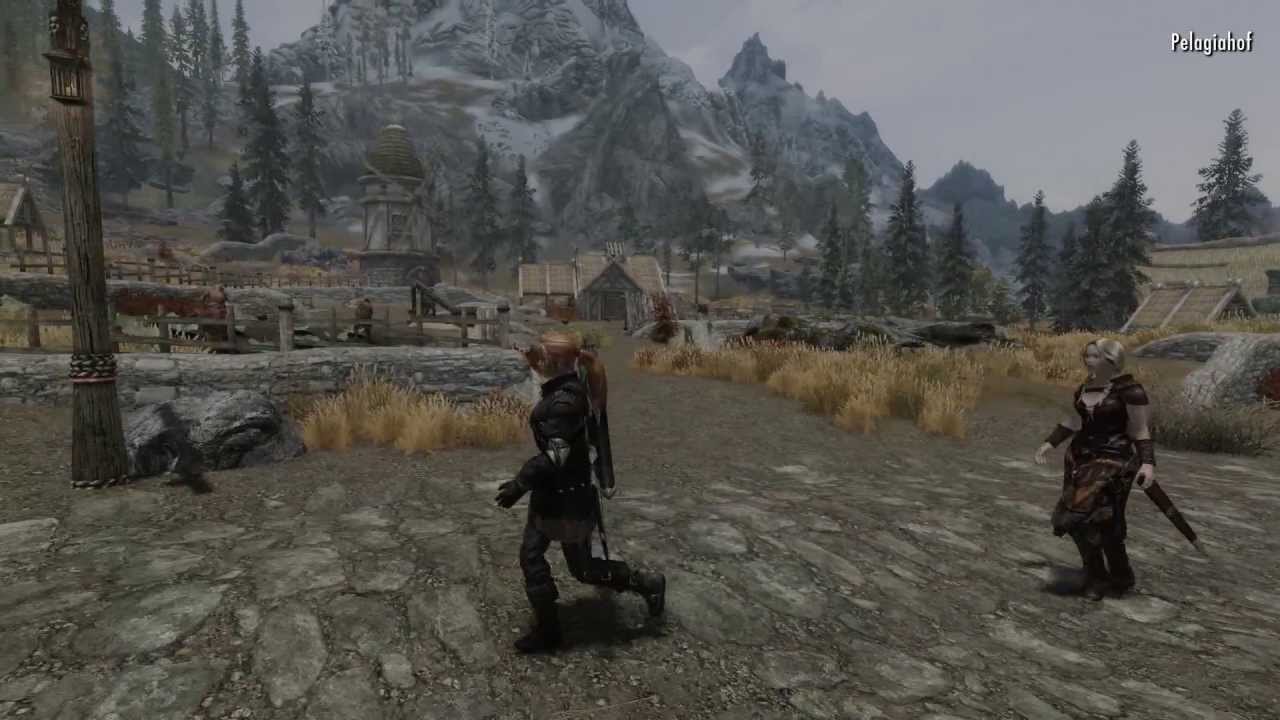 Test Sykrim Konsolenbefehl Animcam