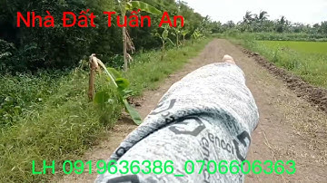 👉 30**45 đất bên sông nhỏ 👉 Giá 1,5tỉ hết đất 👉 Đất ở xã Bình Nhì huyện Gò Công Tây.