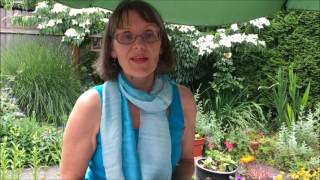 Information Constructivist Listening - An Insights Tool Update