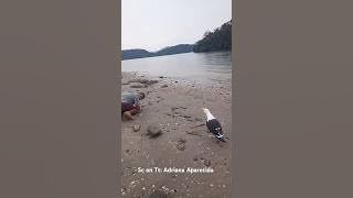 Ternyata begini suara ketawa burung camar bro🤣🤣🤣 #funny #fyp #lucu #ngakak