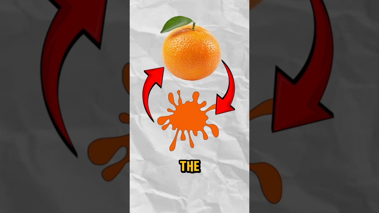 was orange color or the fruit first?