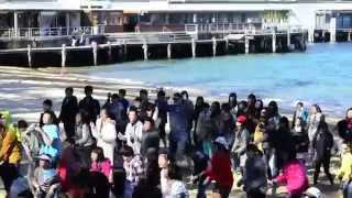 EF Dance EVERYWHERE Sydney 2012