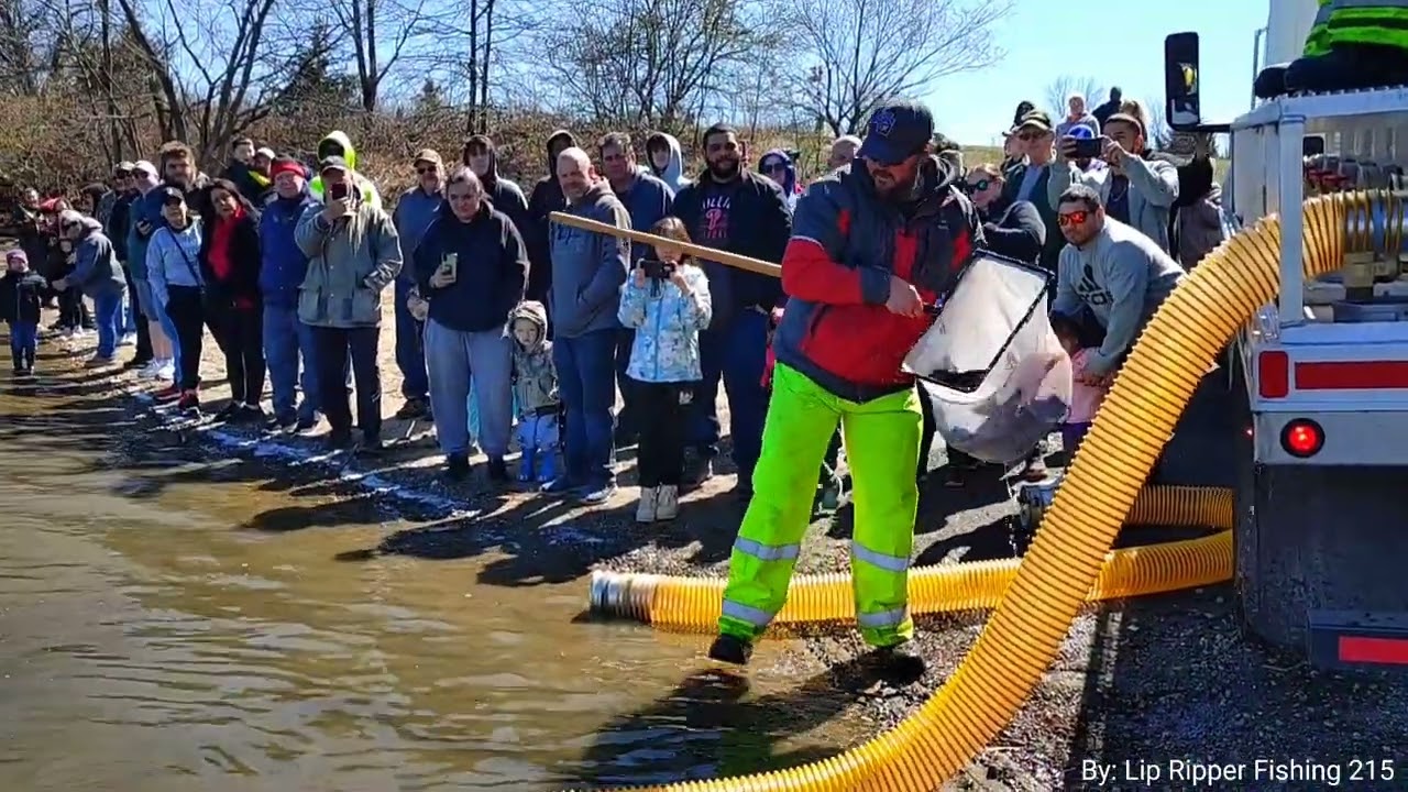 Trout Stocking Levittown Lake 2025