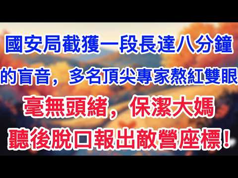 國安局截獲一段長達八分鐘的盲音，多名頂尖專家熬紅雙眼毫無頭緒，保潔大媽聽後脫口報出敵營座標！