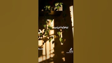 #الشعب_الصيني_ماله_حل #قرآن #قرآن_يريح_القلب #قران_كريم #سورة_النحل