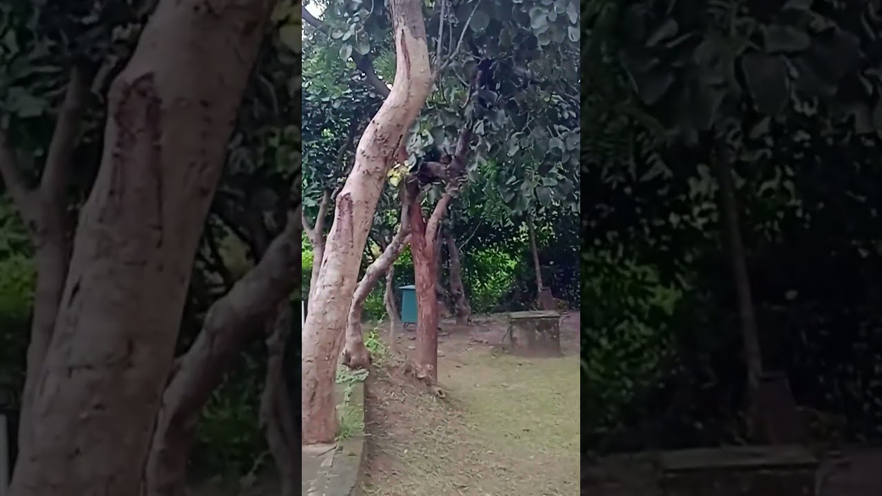 Panchet Residency Purulia 