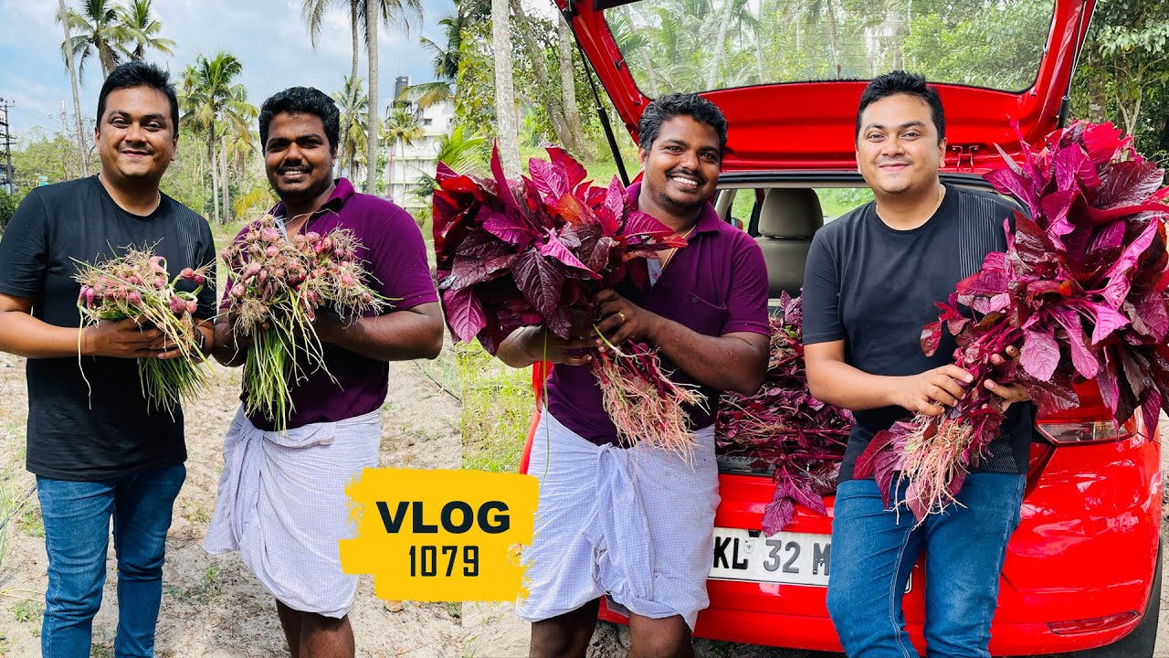 ആലപ്പുഴയിൽ ഉള്ളികൃഷി, 15 ഏക്കറിൽ ചീര, വെണ്ട, തണ്ണിമത്തൻ, പച്ചമുളക് - The Variety Farmer, Alappuzha