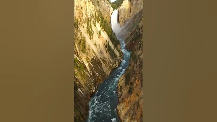 Aerial view of Wyoming Yellowstone National Park by Drone #Shorts