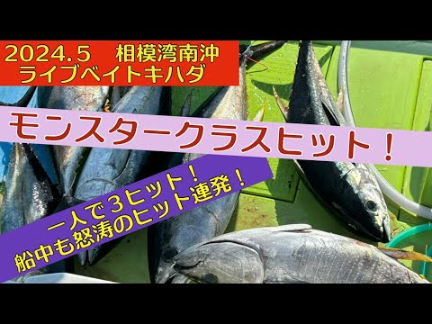 Targeting yellowfin tuna with live bait off the southern coast of