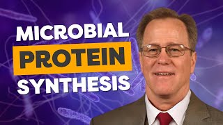 Dr. Jeffrey Firkins: Isoacids in Dairy Nutrition