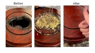 Fixing Things With Noodles How To Fix Broken Wood?