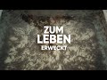 Fische ZÜCHTEN | Forellenzucht Teil 2