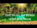 1 Hour of Flute Music: Calming Music, Relaxation Music, New Age, Meditation Music, Study, Focus