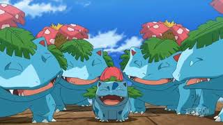 Pokemon Journeys Bulbasaur Evolves Into Ivysaur