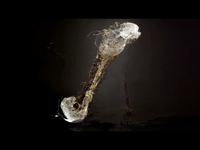 SAM GENDEL - ARE YOU THAT SOMEBODY
