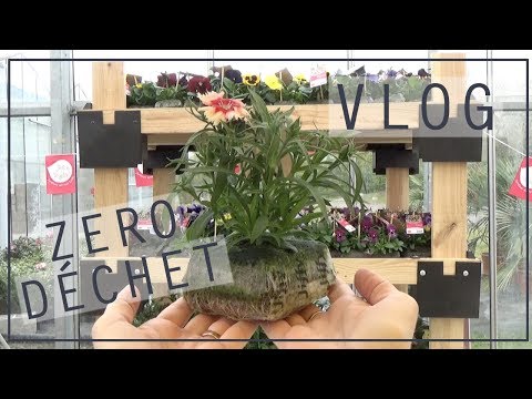 Vlog #10 | Jardiner Zéro Déchet : des plantes sans plastique avec Vive le Végétal