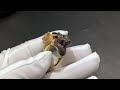 Cartier Panthère Aegis Tourmaline, Petrified Wood, Emerald, Diamonds 18k Rose Gold High Jewelry Ring