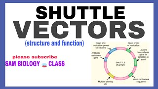 SHUTTLE VECTORS -STRUCTURE & APPLICATIONS@ SAM BIOLOGY 🧫 CLASS.