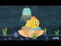 Understanding Fish Sleep