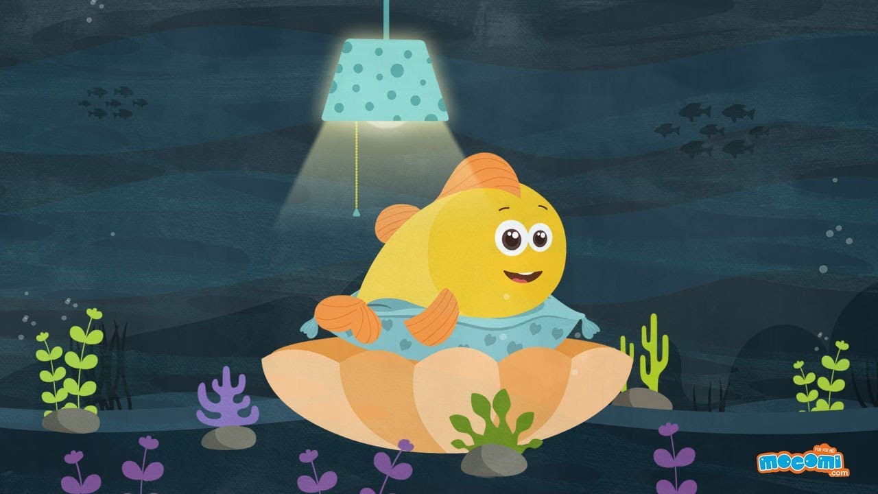 Do Fish Sleep? - Curious Questions With Answers | Educational Videos By Mocomi Kids