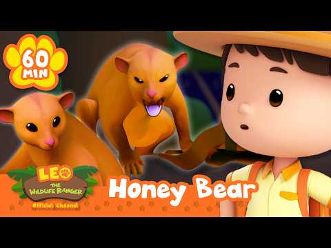 Leo Meets an ANGRY Kinkajou Honey Bear! | Leo the Wildlife Ranger | Kids Learning Cartoons