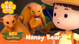 Leo Meets an ANGRY Kinkajou Honey Bear! | Leo the Wildlife Ranger | Kids Learning Cartoons screenshot 1