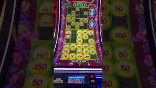 Prosperity Link Bonus lowbets slots bonus shorts casino gamble