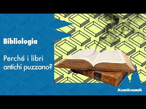 Video: Perché gli oggetti d'antiquariato odorano?