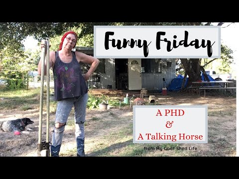 funny-friday-the-phd-and-a-talking-horse